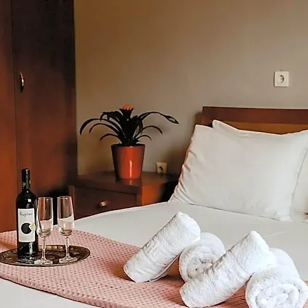 Angelika Nea Iraklitsa 酒店