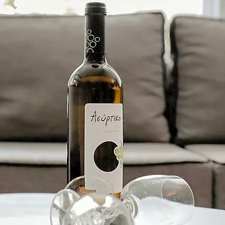 酒店 Angelika Nea Iraklitsa